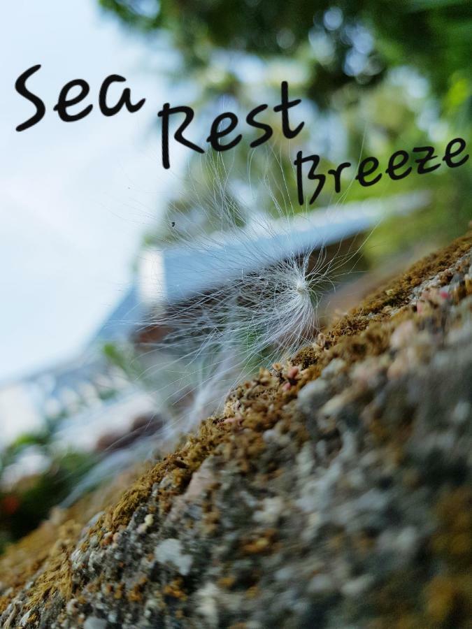 Breeze Guest House 亭可马里 外观 照片