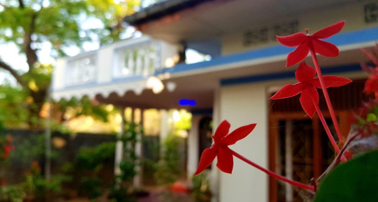Breeze Guest House 亭可马里 外观 照片