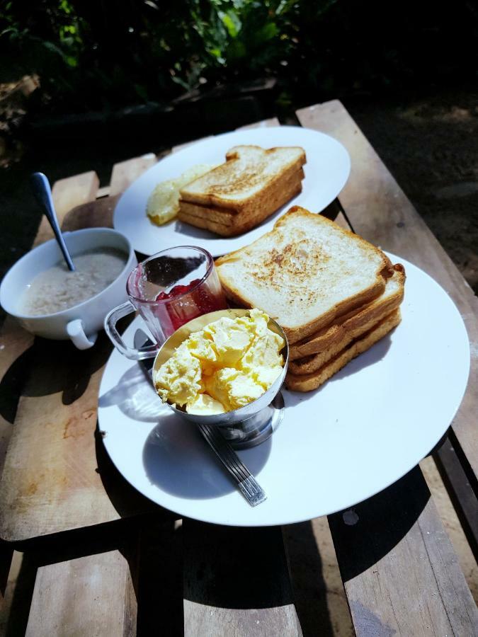 Breeze Guest House 亭可马里 外观 照片